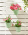 Pack of 3 x 6" Hanging Pots