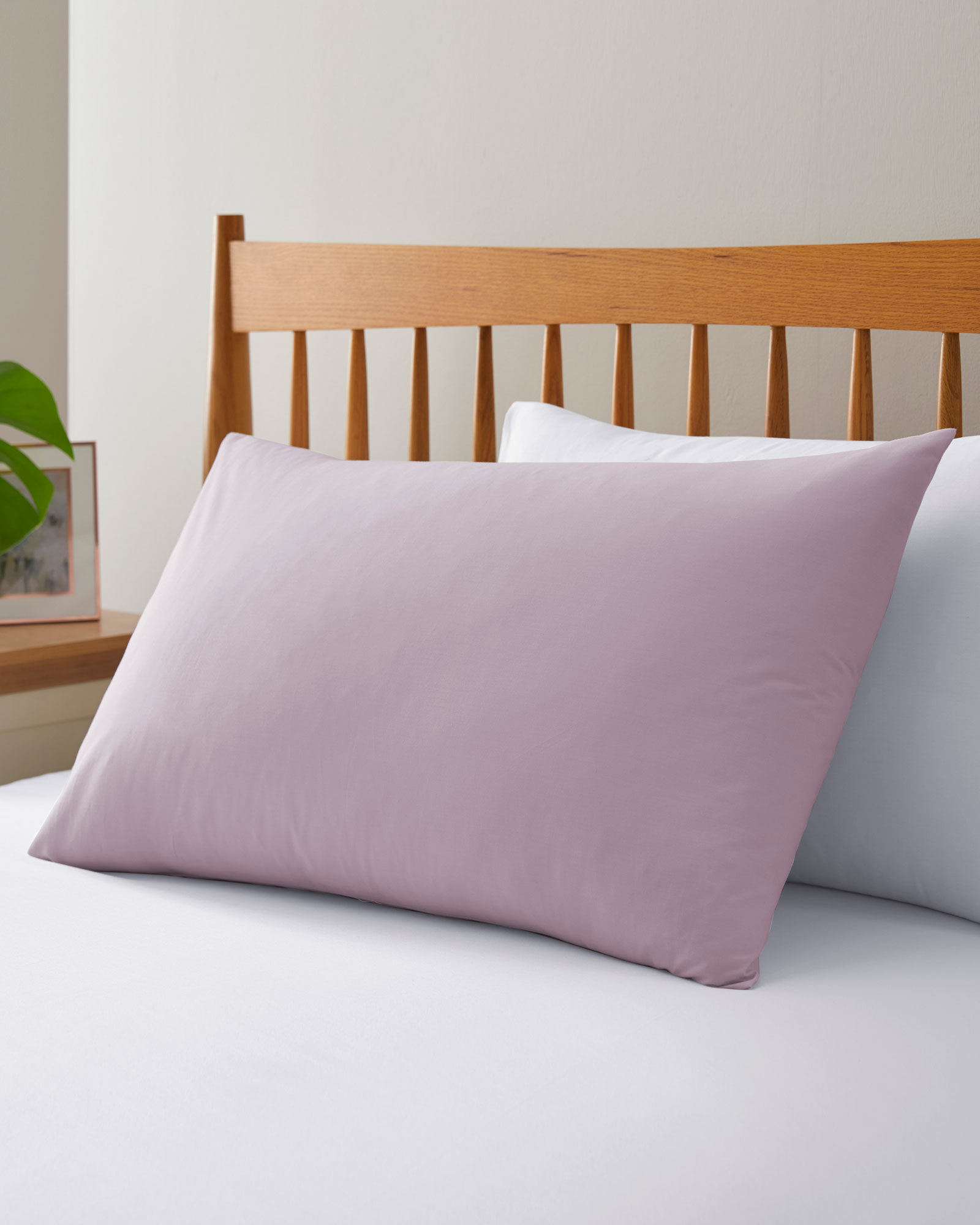 200 Thread Count Plain Dyed Standard Pillowcase Pair