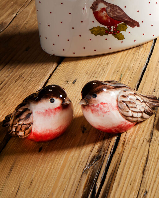 Red Robin Salt and Pepper Shakers