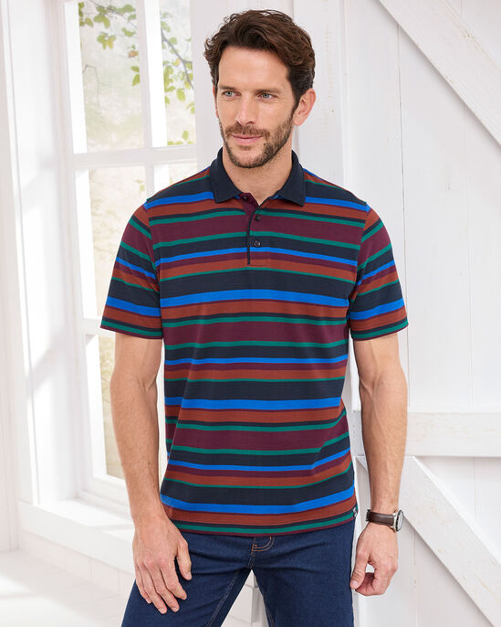 Short Sleeve Stripe Polo