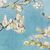 Almond Blossom