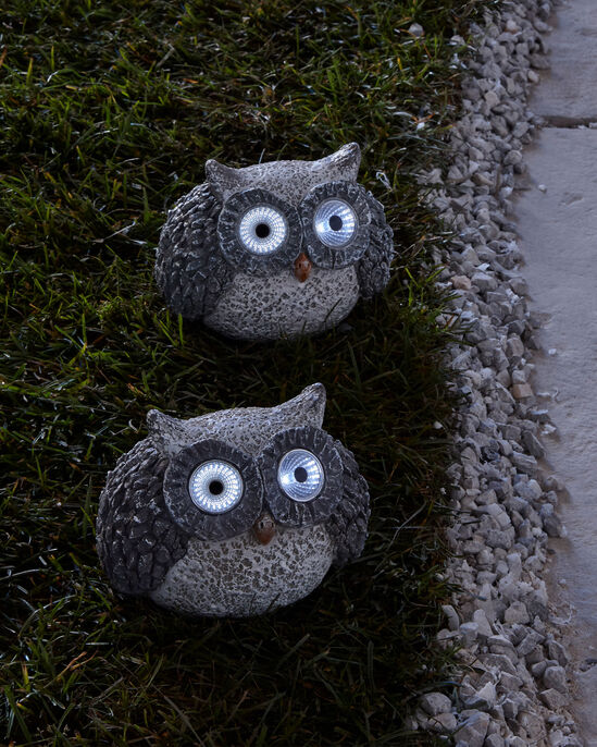 Pack of 2 Solar Eyes Owl Garden Ornaments