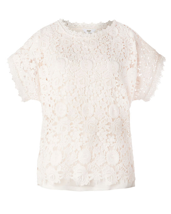 Dolly Short Sleeve Lace Top