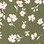 Bay Leaf