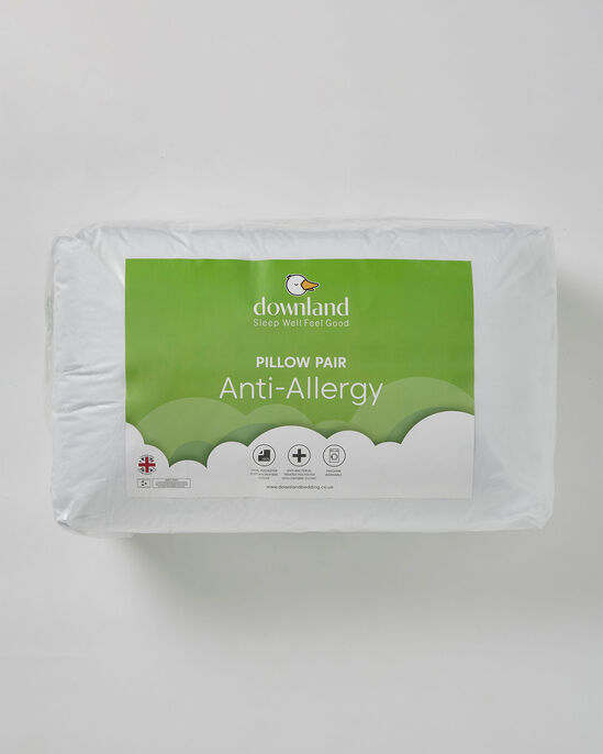 Pair of Anti-Allergy Pillows
