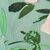 Pastel Green