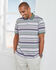 Birdseye Stripe Polo Shirt