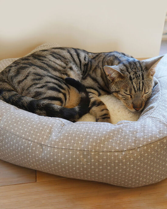 Dotty Cat Bed