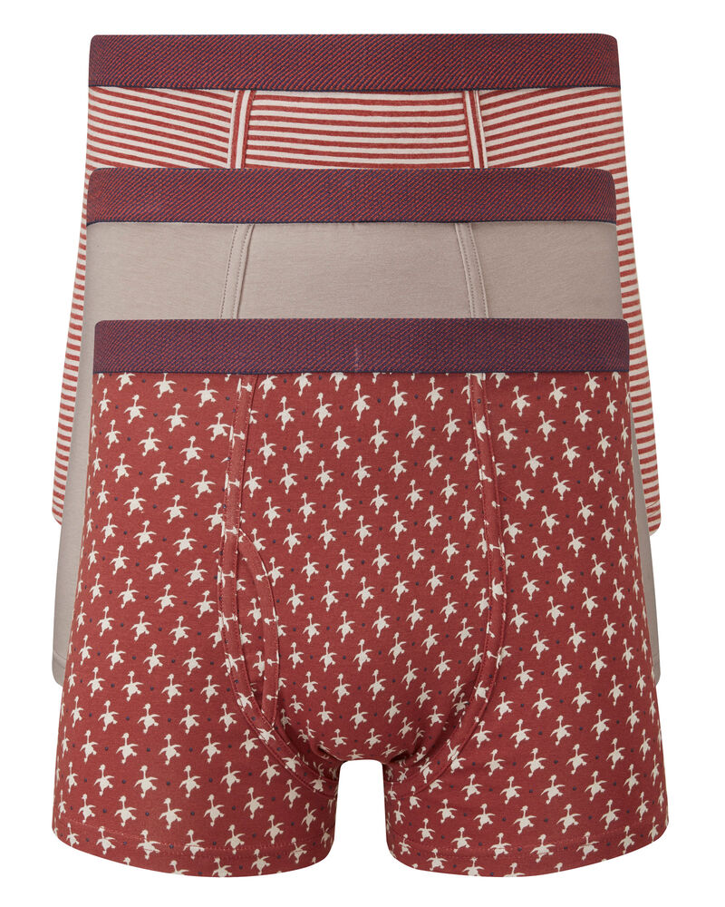 3 Pack Mixed Trunks at Cotton Traders
