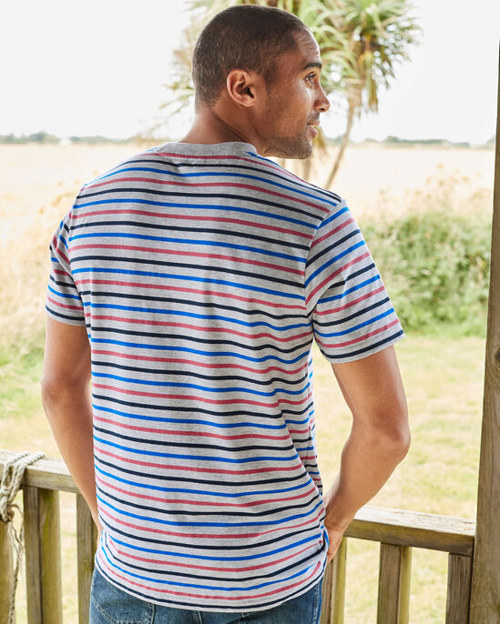 Short Sleeve Wrinkle Free Stripe T-Shirt