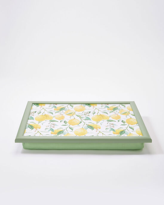 Lap Tray