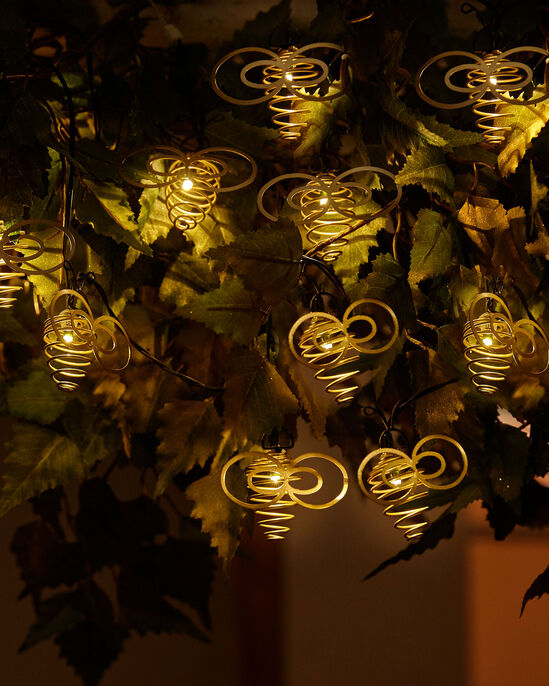 Solar String Lights