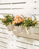 Pack of 3 x 6" Hanging Pots
