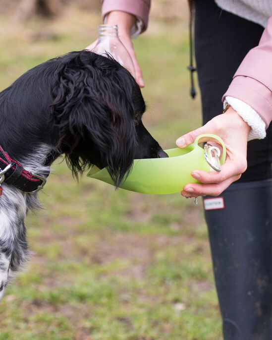 Pet Leaf Water Bottle