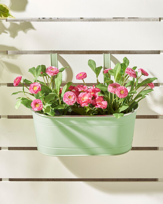 12" Hanging Planter 