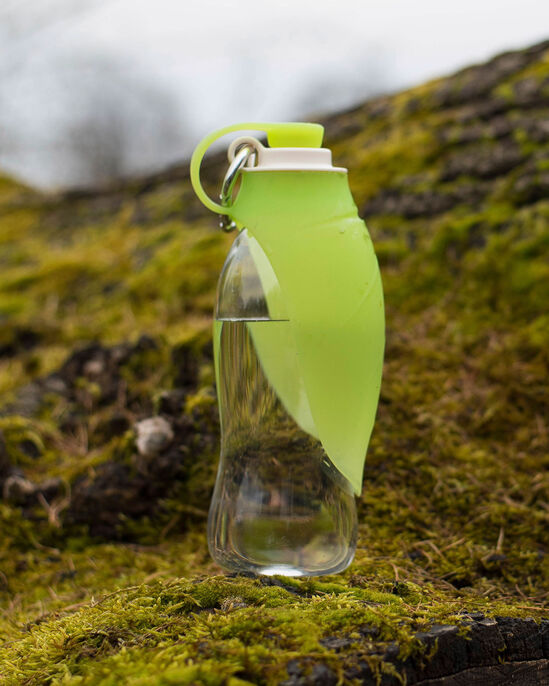 Pet Leaf Water Bottle