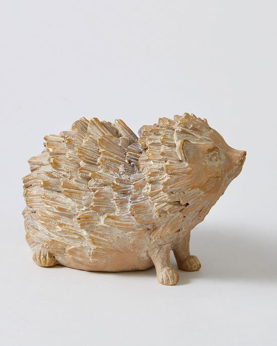 Driftwood Hedgehog