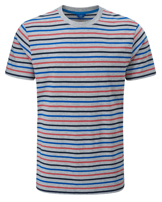 Short Sleeve Wrinkle Free Stripe T-Shirt