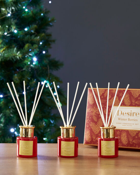 3 Scented Diffusers & Reeds Gift Box