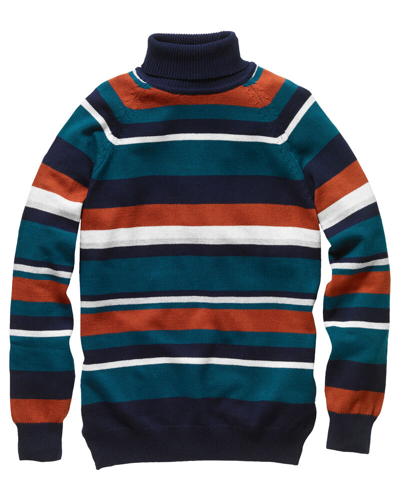 Stripe Cotton Roll Neck Jumper at Cotton Traders
