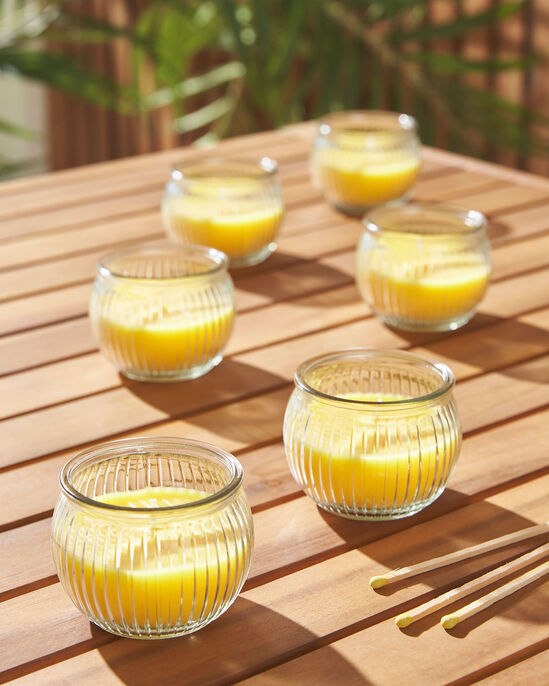 6 Pack Ribbed Glass Citronella Candles 