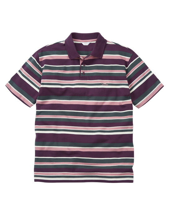 Short Sleeve Stripe Polo